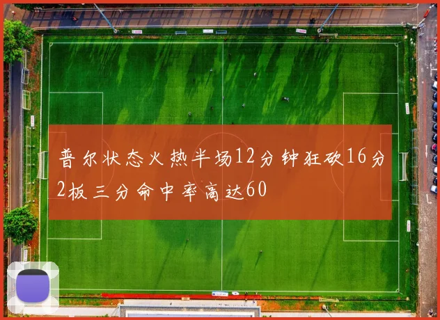 普尔状态火热半场12分钟狂砍16分2板三分命中率高达60