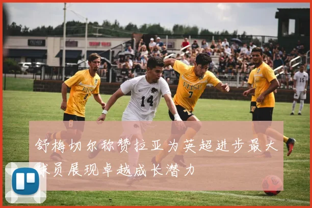 舒梅切尔称赞拉亚为英超进步最大球员展现卓越成长潜力